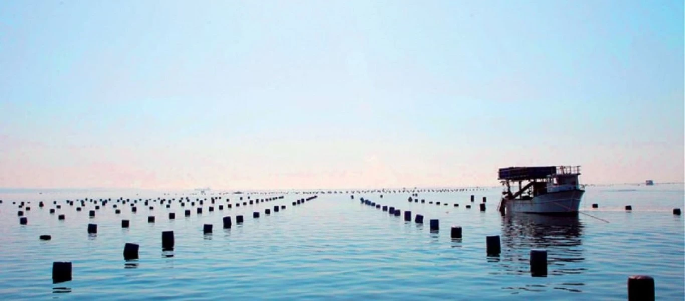 ΥΠΑΑΤ: Αποζημίωση στους αλιείς που επλήγησαν από τον κορωνοϊό - Θα λάβουν έως και 24.000 ευρώ μηνιαίως